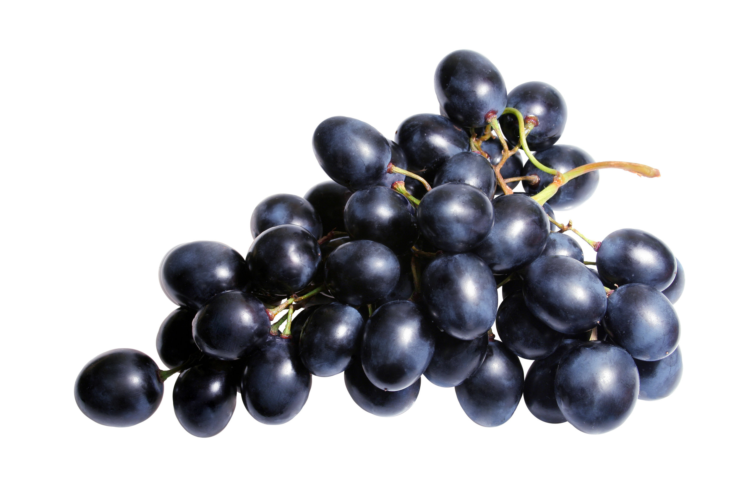 Several purple grapes